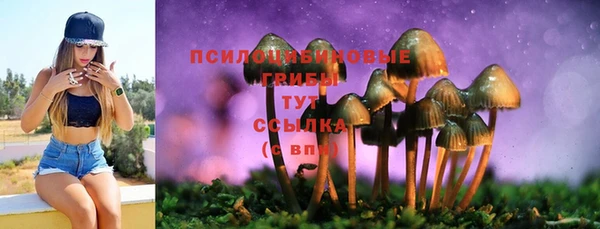 амфетамин Дмитриев